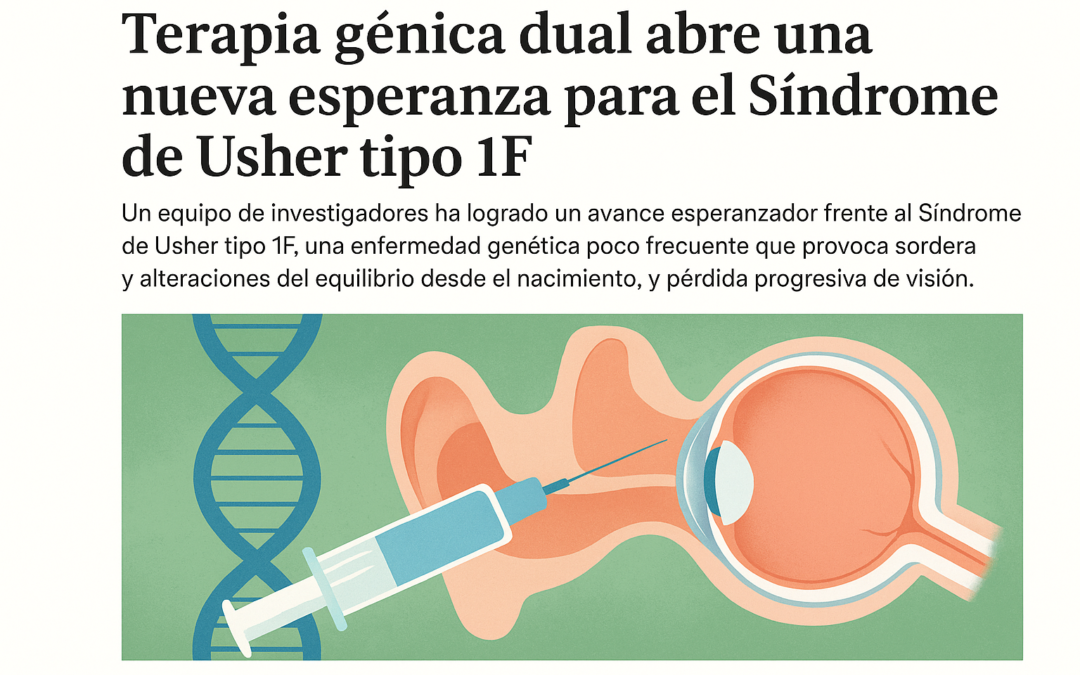Terapia génica dual-AAV para la sordera y la ceguera en modelos de síndrome de Usher tipo 1F ( PCDH15)