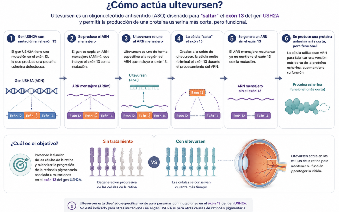 Sepul Bio completa el reclutamiento del ensayo clínico LUNA de fase 2b para la retinosis pigmentaria asociada al gen USH2A
