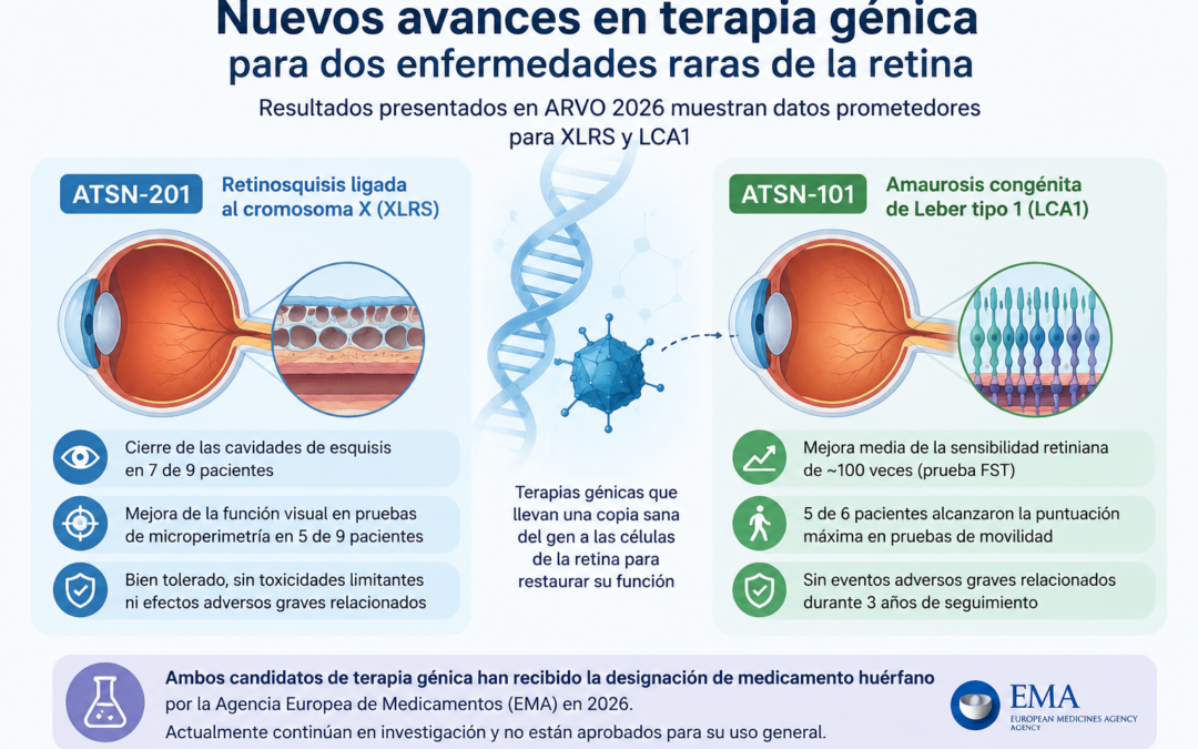 Avances en terapia génica para la retinosquisis ligada al cromosoma X y la amaurosis congénita de Leber