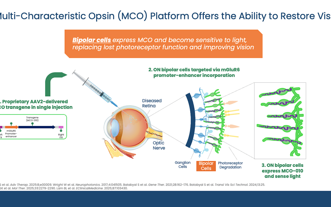 La FDA revisa la terapia optogenética MOGENRY de Nanoscope: Ganancia visual, durabilidad y aplicación universal en Retinosis Pigmentaria